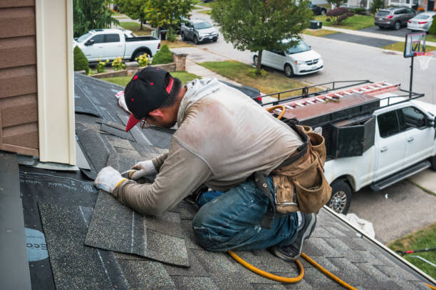Professional Gutter Repair And Installation technician working in Myrtle Point, OR